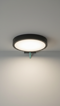 Luminaria LED techo negro grafito